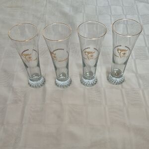 Elegant Gold Rimmed Pilsner Glass Set